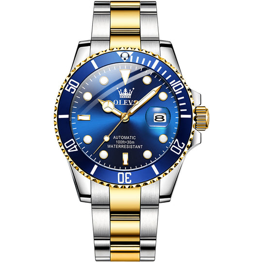Elite Professional Automatic Diver Watch