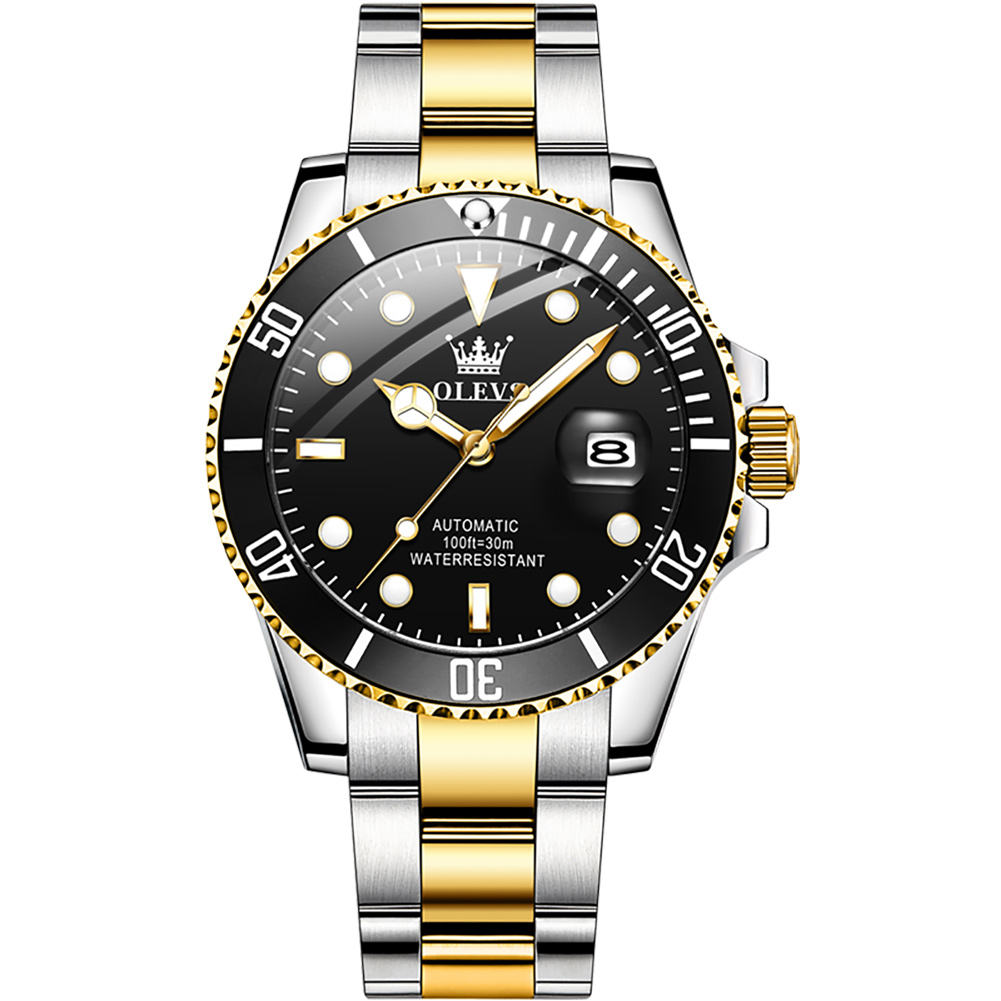 Elite Professional Automatic Diver Watch